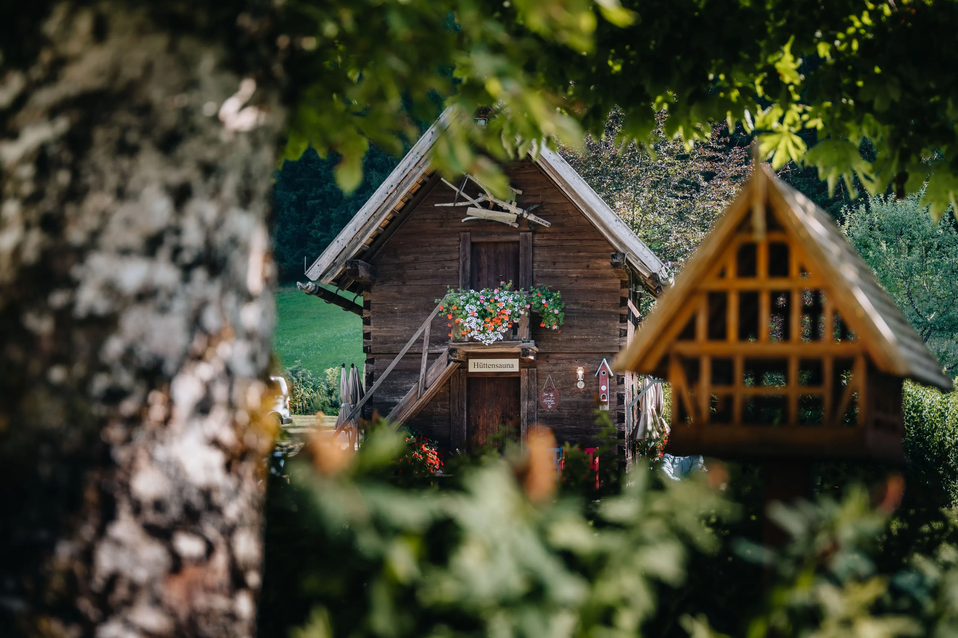 Srubová sauna viděná mezi stromy, nad dveřmi cedule, na balkoně květiny