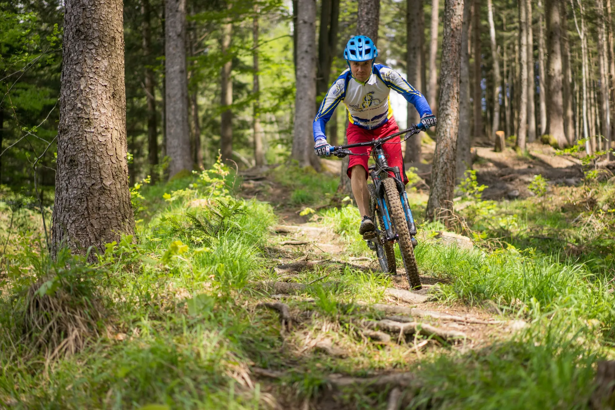 © Michael Steiner Horský cyklista jede v protisvětle po lesním trailu